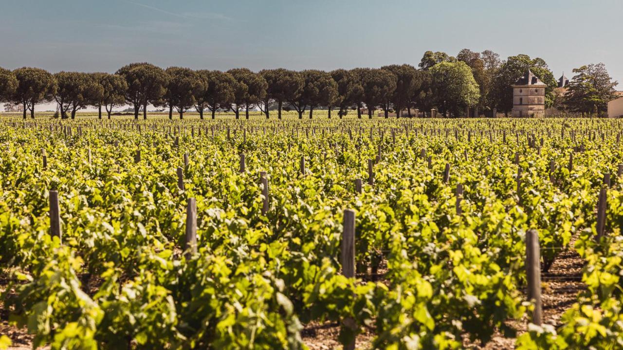 Chateau Laffitte Carcasset Saint-Estèphe Екстериор снимка