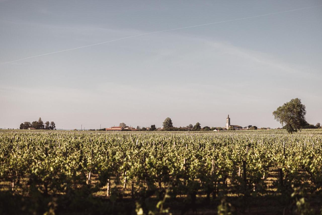 Chateau Laffitte Carcasset Saint-Estèphe Екстериор снимка